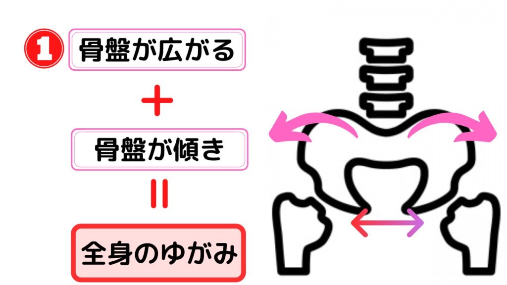 骨盤が広がる
+
骨盤が傾き
全身のゆがみ